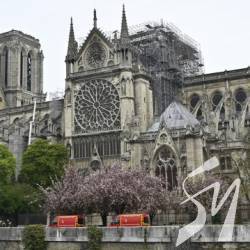 � ������ ������� ����-���� ��������� ������������ ����� ������� ����� ������